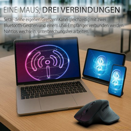 INCA Maus IWM-553S Ergonomisch, wireles
