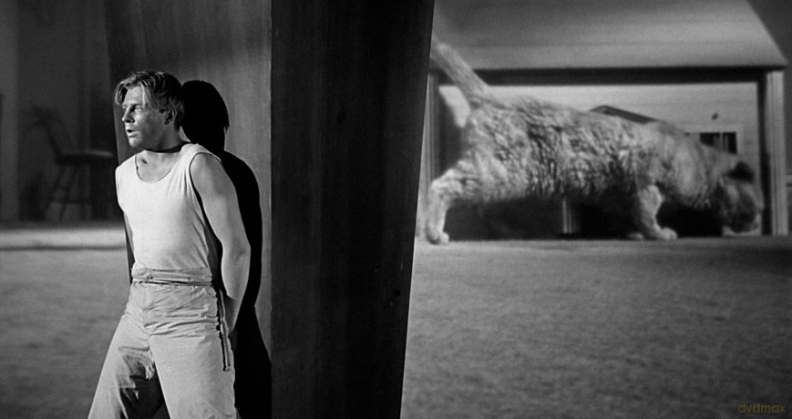 Incredible Shrinking Man [Blu-Ray]