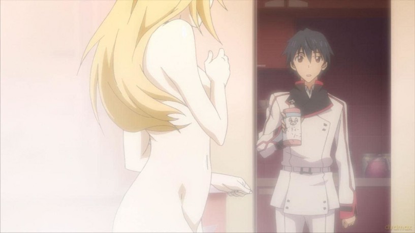 Infinite Stratos-Vol.1 Ltd. [DVD]