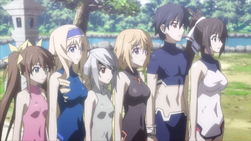 Infinite Stratos-Vol.2 Ltd. [Blu-Ray]