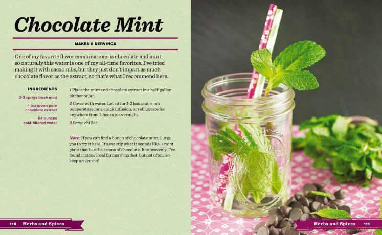 Infused Water Ice [KSIĄŻKA]