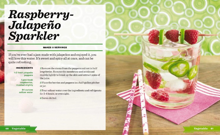 Infused Water Ice [KSIĄŻKA]