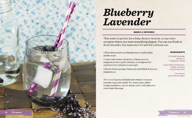 Infused Water Ice [KSIĄŻKA]