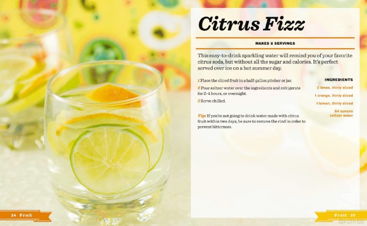 Infused Water Ice [KSIĄŻKA]