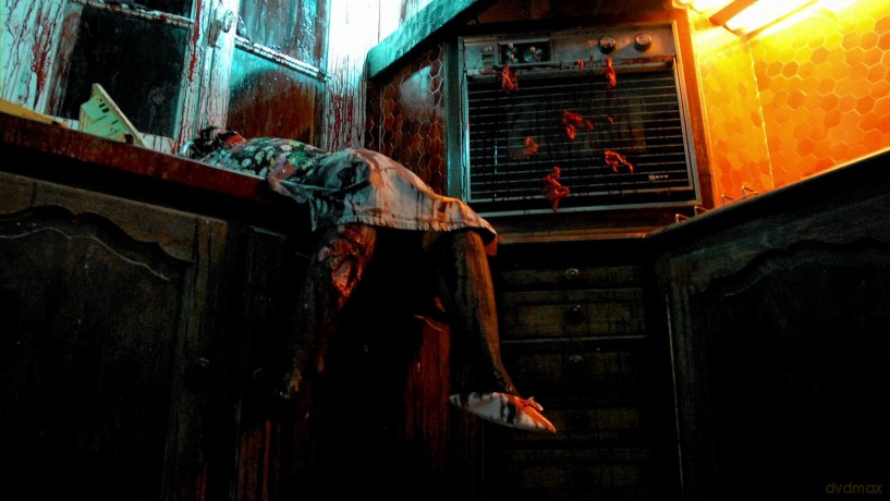 Insane Blood Massacre [DVD]