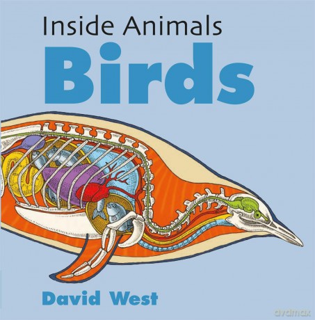 Inside Animals Birds [KSIĄŻKA]