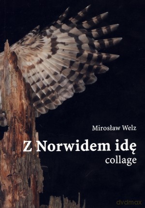 Z Norwidem idę - Mirosław Welz [KSIĄŻKA]