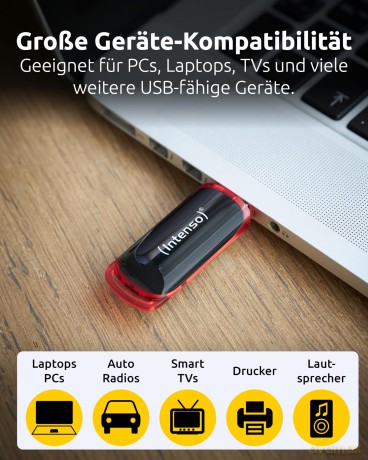 Intenso Business Line 8 GB