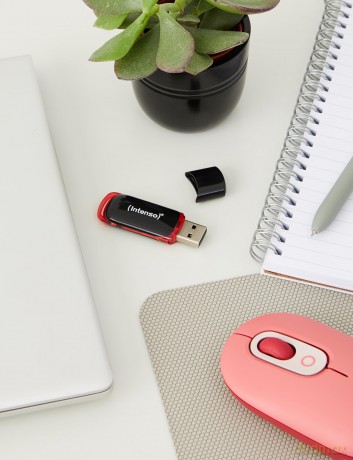 Intenso Business Line 8 GB