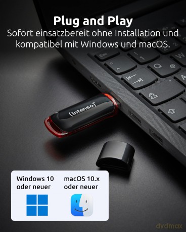Intenso Business Line 8 GB