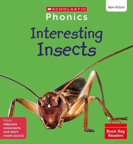 Interesting Insects Set 7 [KSIĄŻKA]