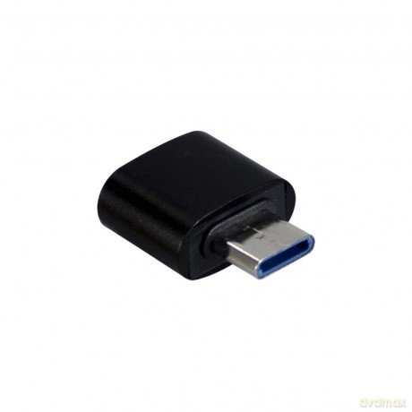 Inter-Tech Adapter Type CM auf USB 2.0 A