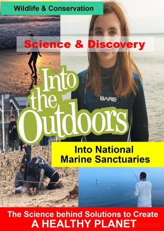 Into National Marine Sanctuaries [DVD]
