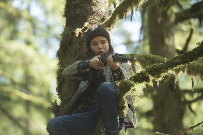 Into The Forest [DVD]