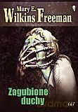 Zagubione duchy - Mary E. Wilkins Freeman [KSIĄŻKA]