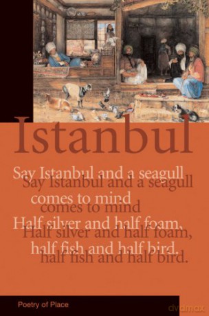 Istanbul Poetry Of Place [KSIĄŻKA]
