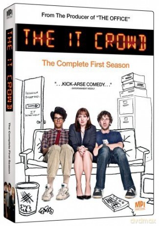 It Crowd: Complete First Season [DVD]