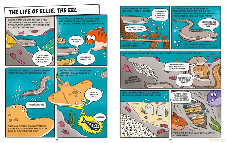 ItÇŃs Tough to Be A Shark and Other Sea Creatures [KSIĄŻKA]