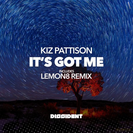 Pattison,Kiz: It's Got Me [CD]