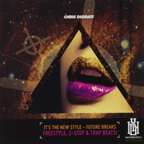 Diodati,Chris: It's The New Style: Future Breaks Freestyle 2-Step [CD]