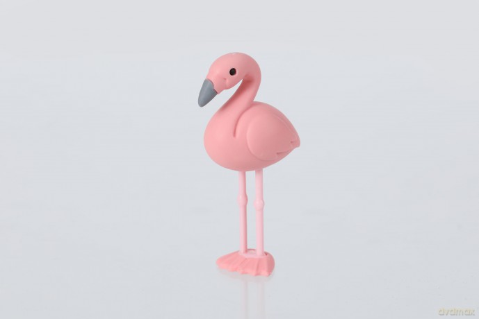 Iwako Gummen - Vogel set