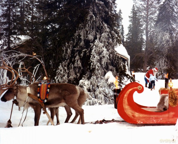 J Ai Rencontre Le Pere Noel [DVD]