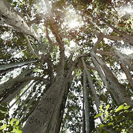 Jake Gosss Banyan-Looking Up: Jake Gosss Banyan-Looking Up [CD]