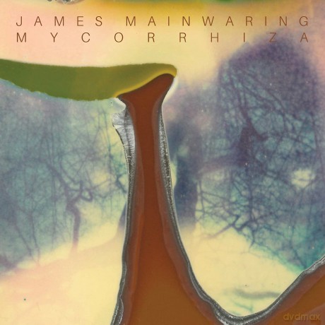 James Mainwaring-Mycorrhiza: James Mainwaring-Mycorrhiza [CD]