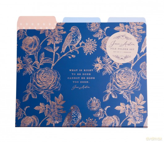 Jane Austen File Folder Set Set of 9 [KSIĄŻKA]