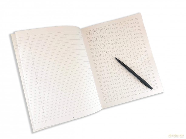 Japanese Language Writing Prac Bk [KSIĄŻKA]