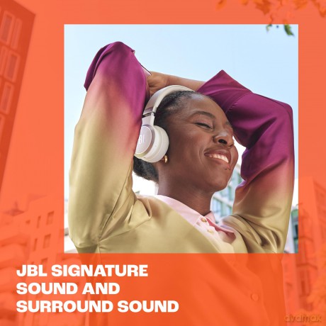 JBL Live 670NC schwarz
