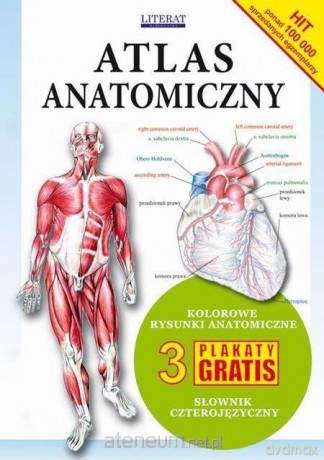 Atlas Anatomiczny broszura [KSIĄŻKA]