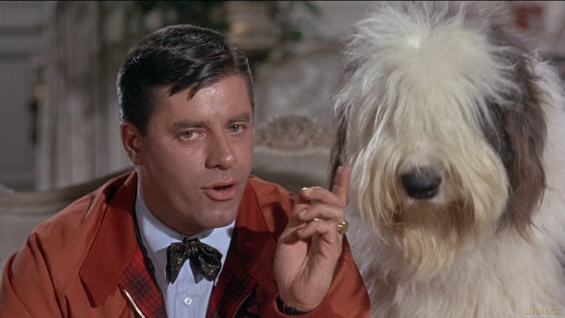 Jerry Lewis: Der Ladenhueter [DVD]