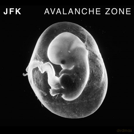 Jfk-Avalanche Zone: Jfk-Avalanche Zone [CD]