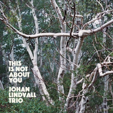 Johan Lindvall Trio-This Is Not About You: Johan Lindvall Trio-This Is Not About You [CD]