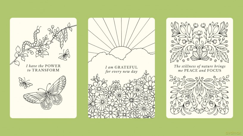 Johanna Basfords Notes from Nature [KSIĄŻKA]