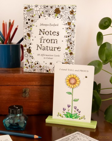 Johanna Basfords Notes from Nature [KSIĄŻKA]