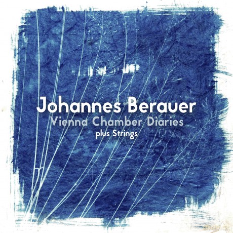 Johannes Berauer-Vienna Chamber Diaries Plus Strings: Johannes Berauer-Vienna Chamber Diaries Plus Strings [CD]