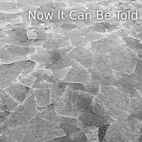 Johnny Hunter-Now It Can Be Told: Johnny Hunter-Now It Can Be Told [CD]