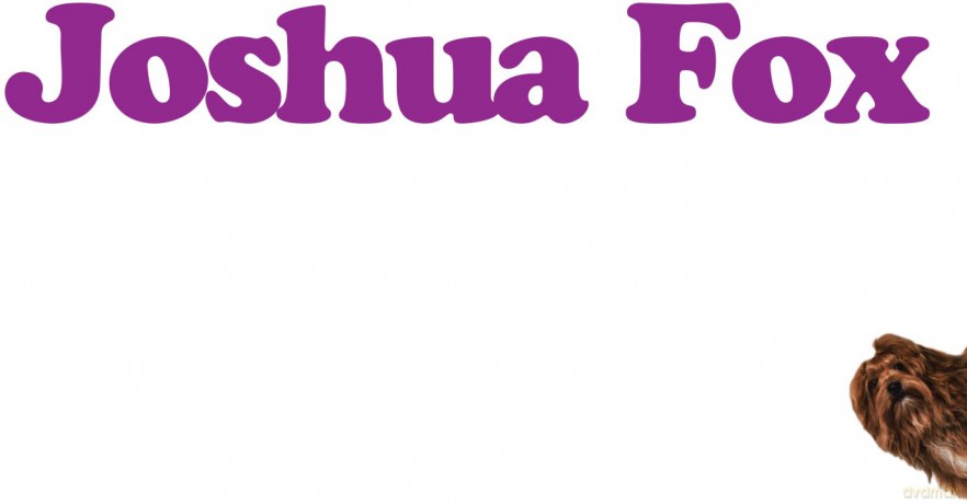 Fox,Joshua: Joshua Fox [CD]