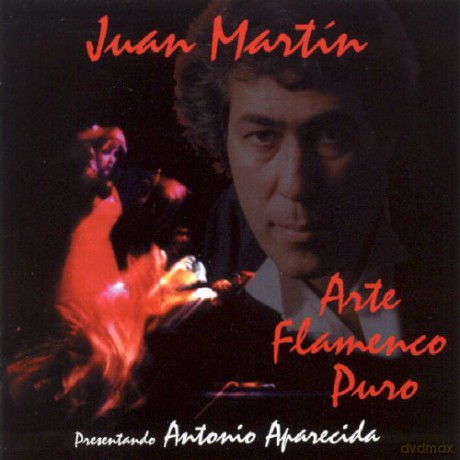 Juan Martin-Arte Flamenco Puro: Juan Martin-Arte Flamenco Puro [CD]