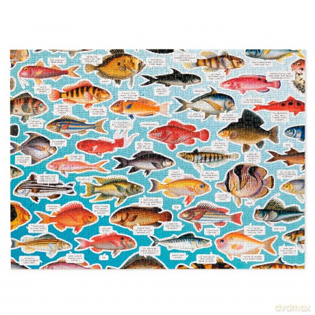 Judgy Fish 1000 Piece Puzzle [KSIĄŻKA]