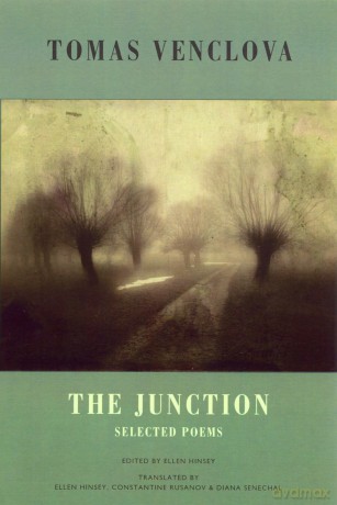 Junction The [KSIĄŻKA]