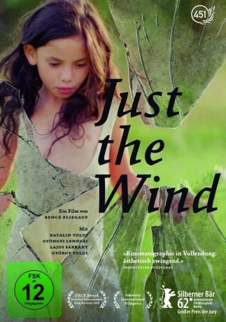 Just The Wind [DVD]
