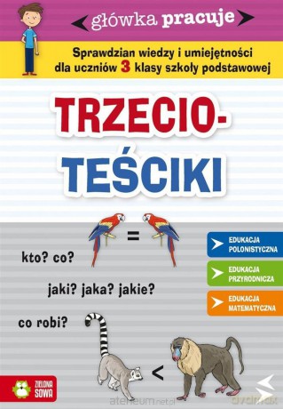Główka pracuje. Trzecioteściki [KSIĄŻKA]