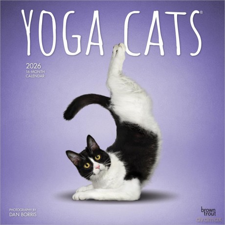 Kalender 2026 - Yoga Cats bt