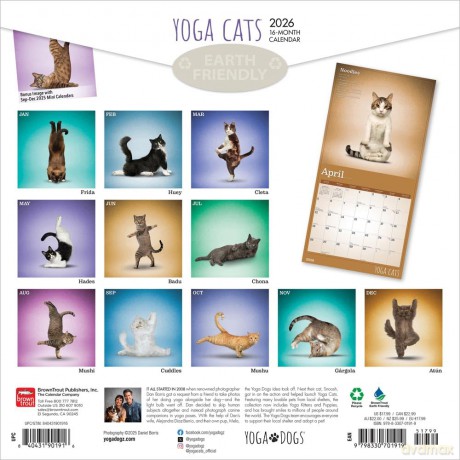 Kalender 2026 - Yoga Cats bt