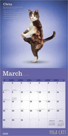 Kalender 2026 - Yoga Cats bt