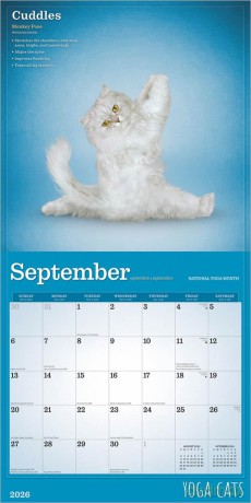 Kalender 2026 - Yoga Cats bt