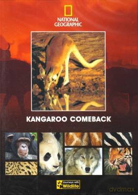 Kangaroo comeback [DVD]